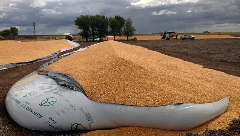 Hay hambre, pero atacan al campo