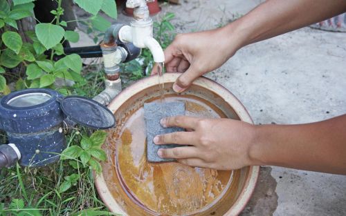 Claves para prevenir el dengue en medio de la pandemia de coronavirus