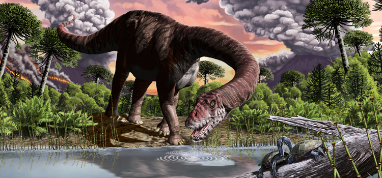 Descubren una nueva especie de saurópodo gigante de 179 millones de años en Chubut