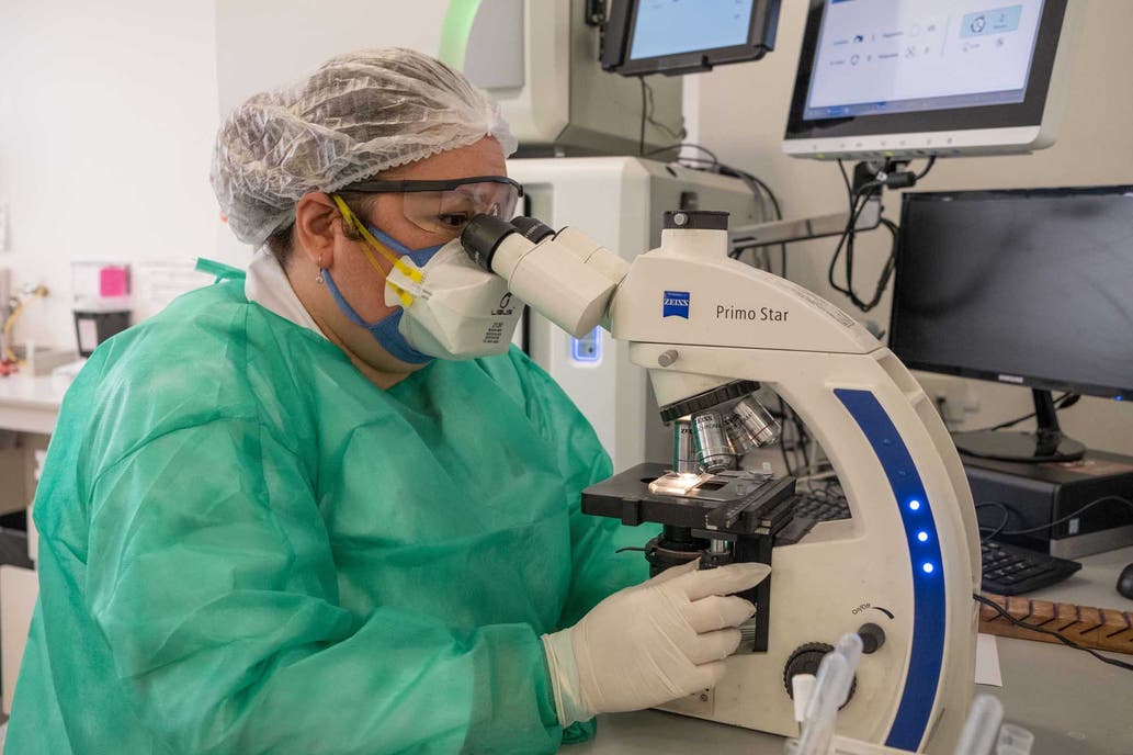 Coronavirus: la vacuna de Oxford y AstraZeneca logró 99 por ciento de inmunidad en la fase 2